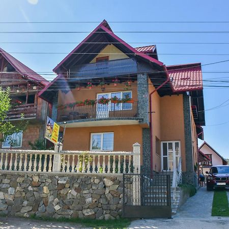 Casa Diana-Maria Apartamento Curtea de Argeş Exterior foto