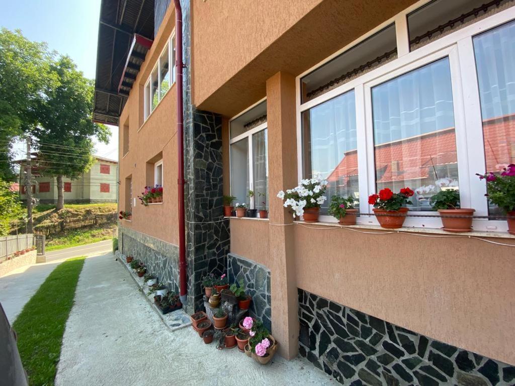 Casa Diana-Maria Apartamento Curtea de Argeş Exterior foto