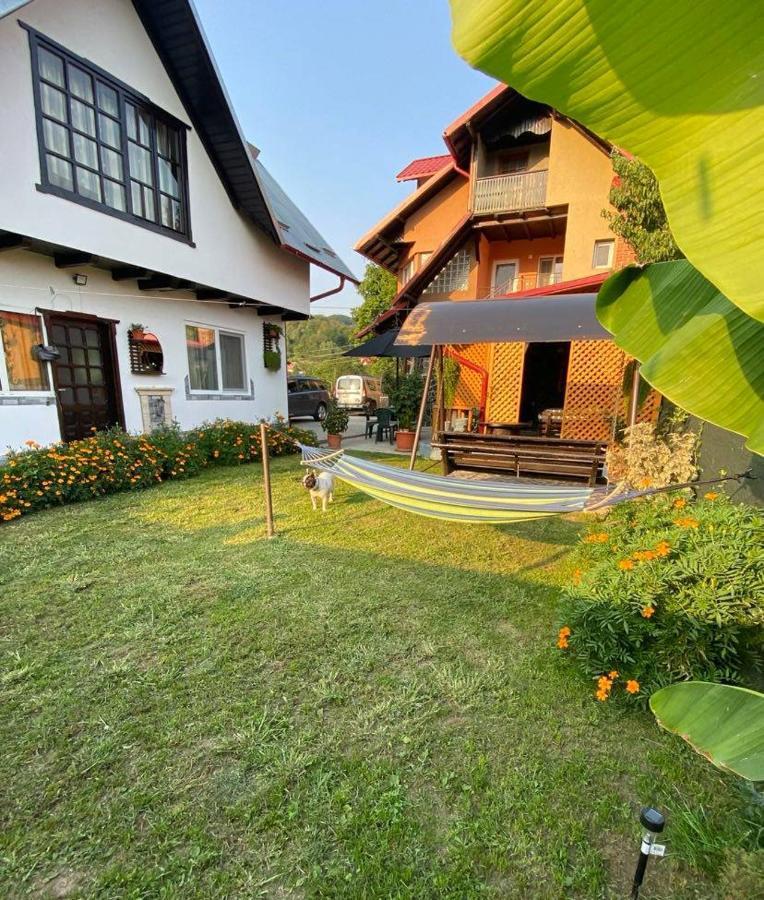 Casa Diana-Maria Apartamento Curtea de Argeş Exterior foto